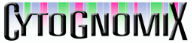 Cytognomix Inc